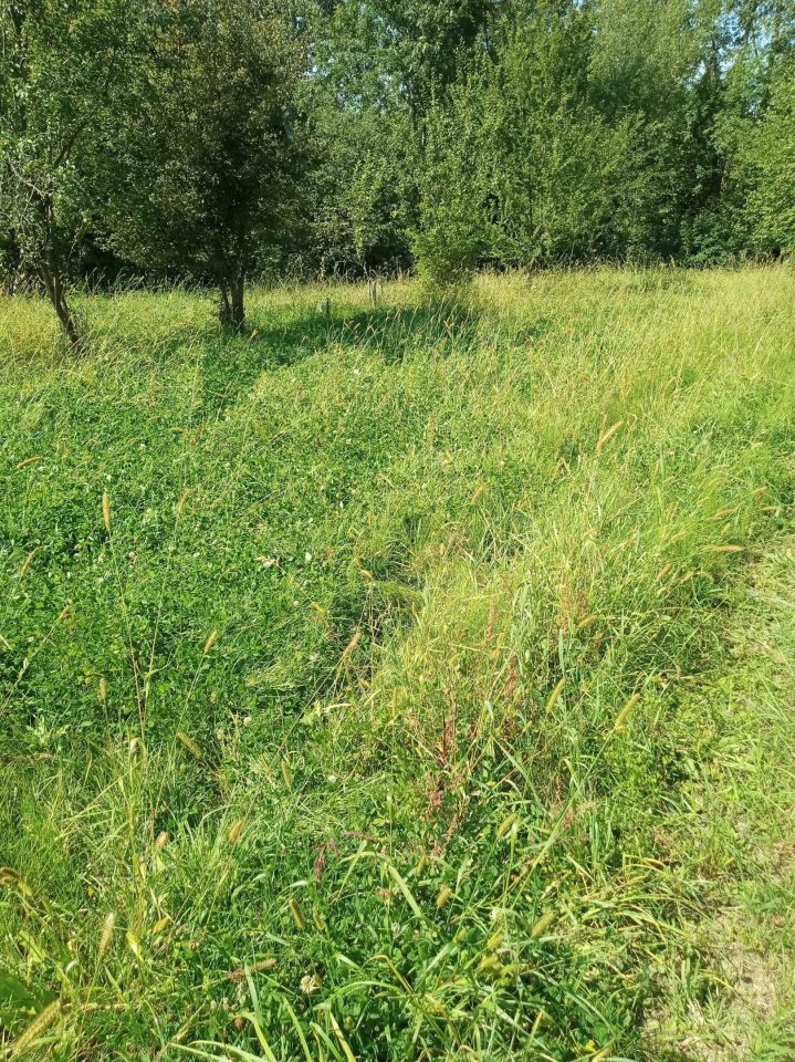 Działka budowlana Boguchwała. Zdjęcie 7