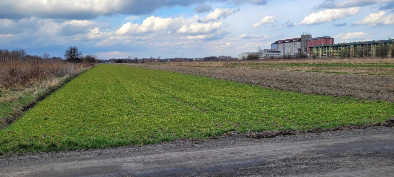 Działka rolna Łuków, ul. Malinowa. Zdjęcie 6