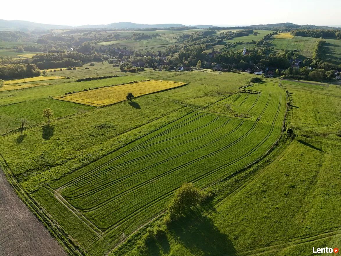 Działka rolna Pomocne. Zdjęcie 5