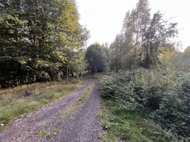 dom wolnostojący, 6 pokoi Gromadzin. Zdjęcie 5