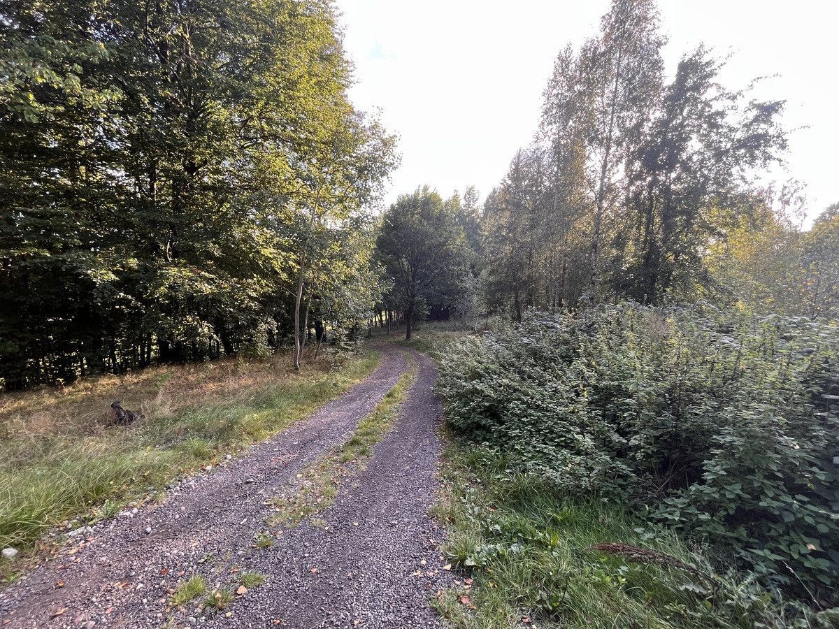 dom wolnostojący, 6 pokoi Gromadzin. Zdjęcie 5