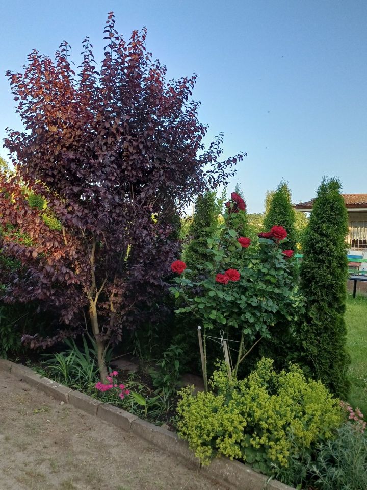 Działka rod Chodzież. Zdjęcie 2