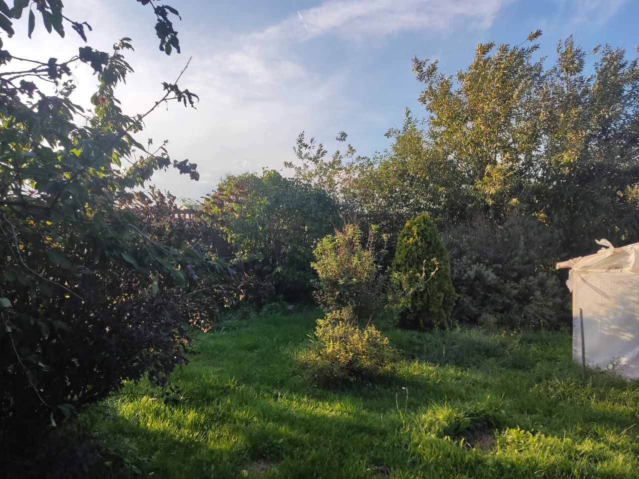 dom wolnostojący Karlin. Zdjęcie 6