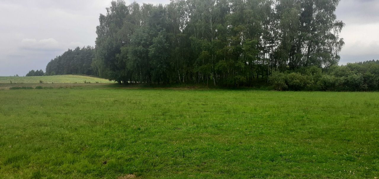 Działka rolna Zielona Góra. Zdjęcie 3