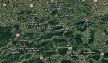 Działka leśna Jasienica