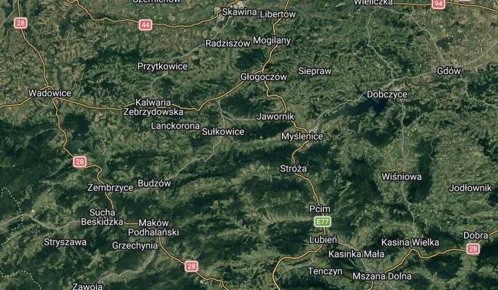 Działka leśna Jasienica