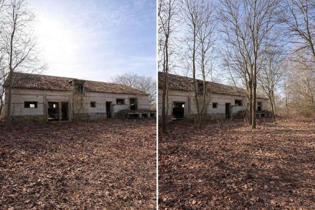 Działka siedliskowa Bruliny. Zdjęcie 1