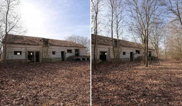 Działka siedliskowa Bruliny