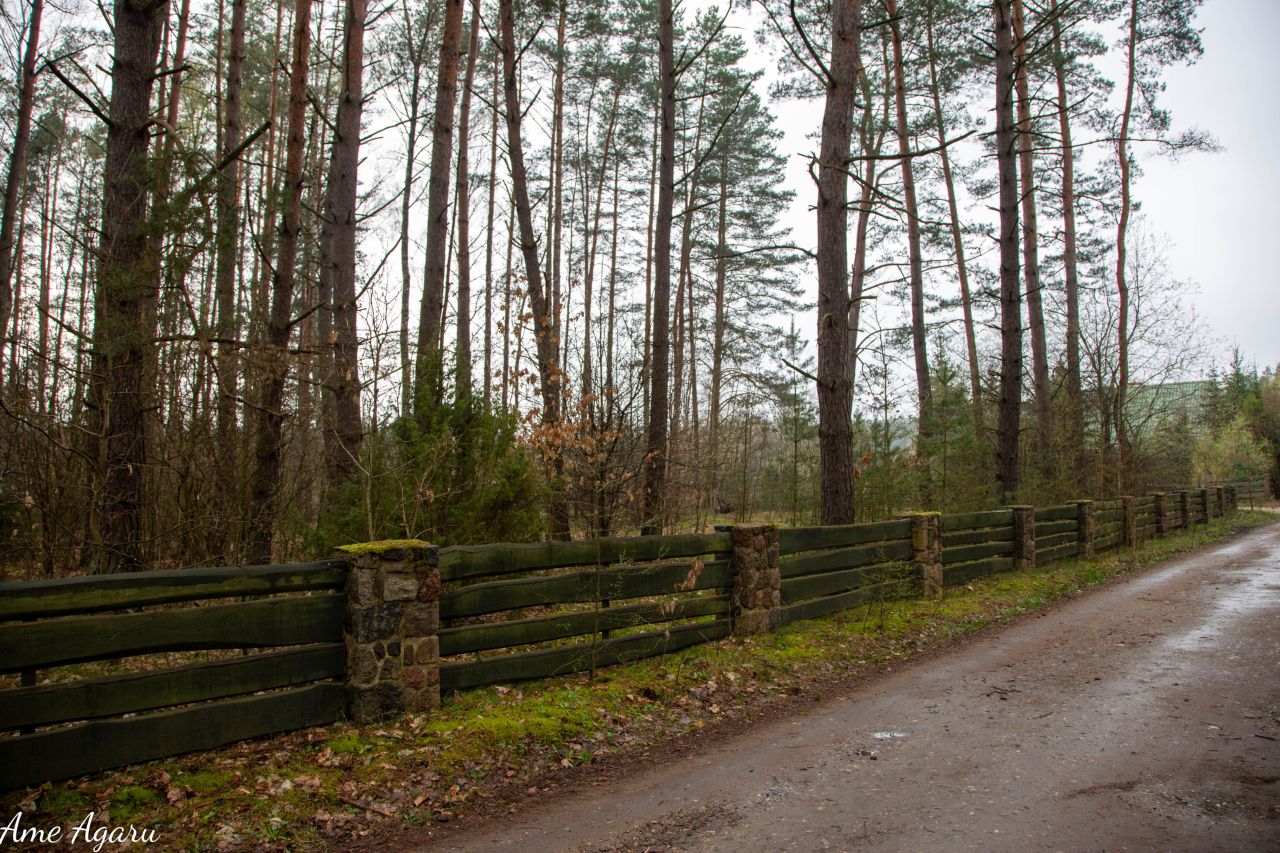 Działka budowlana Marózek. Zdjęcie 9
