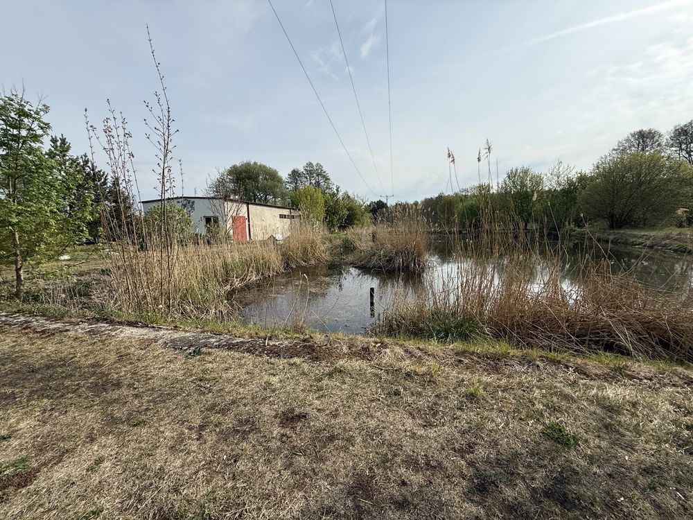 Działka rolno-budowlana Lipno. Zdjęcie 1