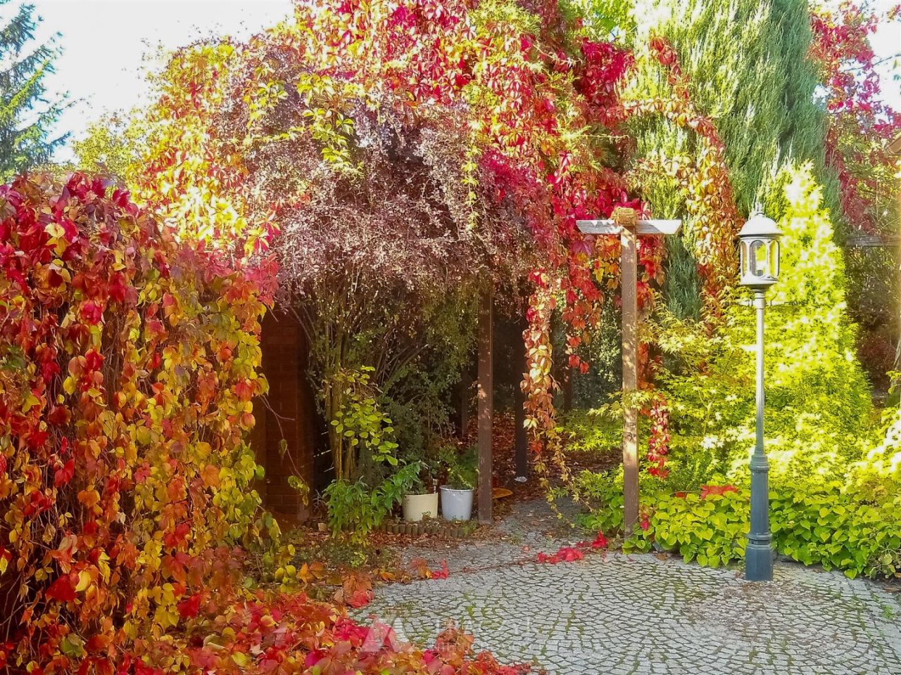 bliźniak, 6 pokoi Wrocław Oporów. Zdjęcie 19