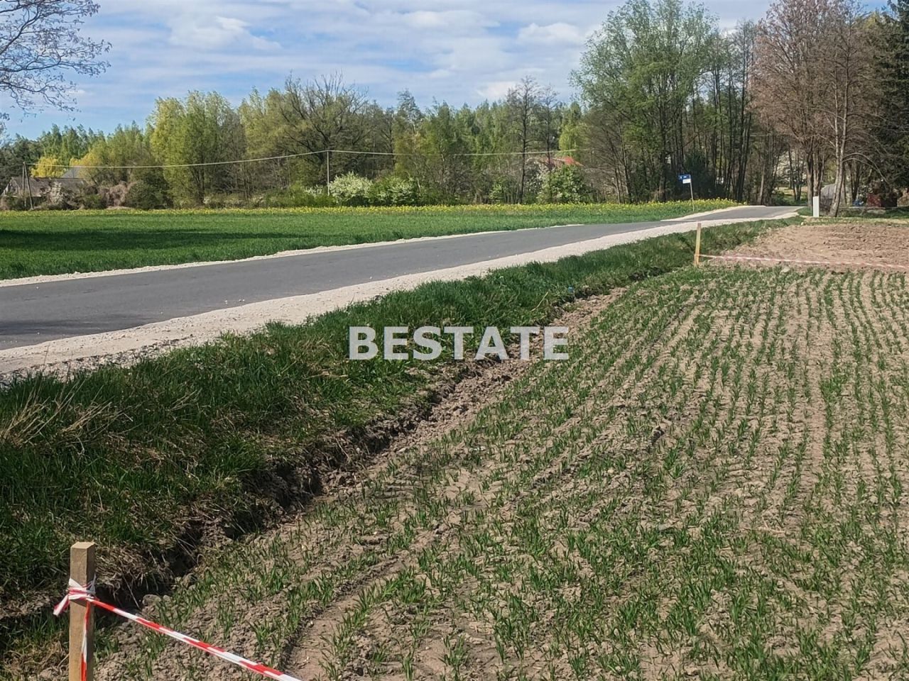 Działka rekreacyjna Niemojewo. Zdjęcie 2