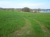 Działka rolno-budowlana Wilnowo. Zdjęcie 4