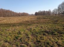 Działka rolna Grabowo. Zdjęcie 2