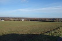 Działka siedliskowa Pierściec, ul. Winogradzka. Zdjęcie 4