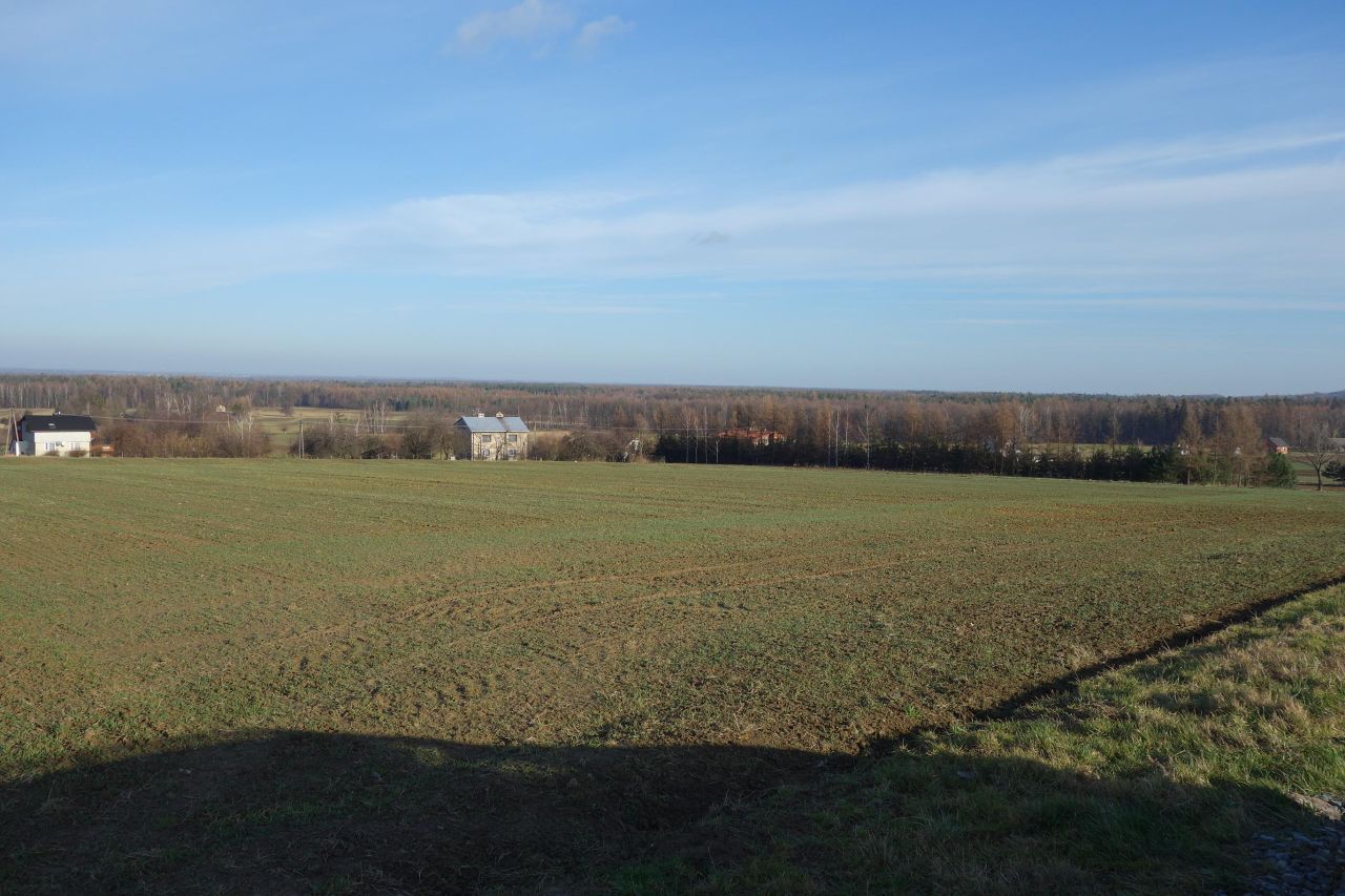 Działka siedliskowa Pierściec, ul. Winogradzka. Zdjęcie 5