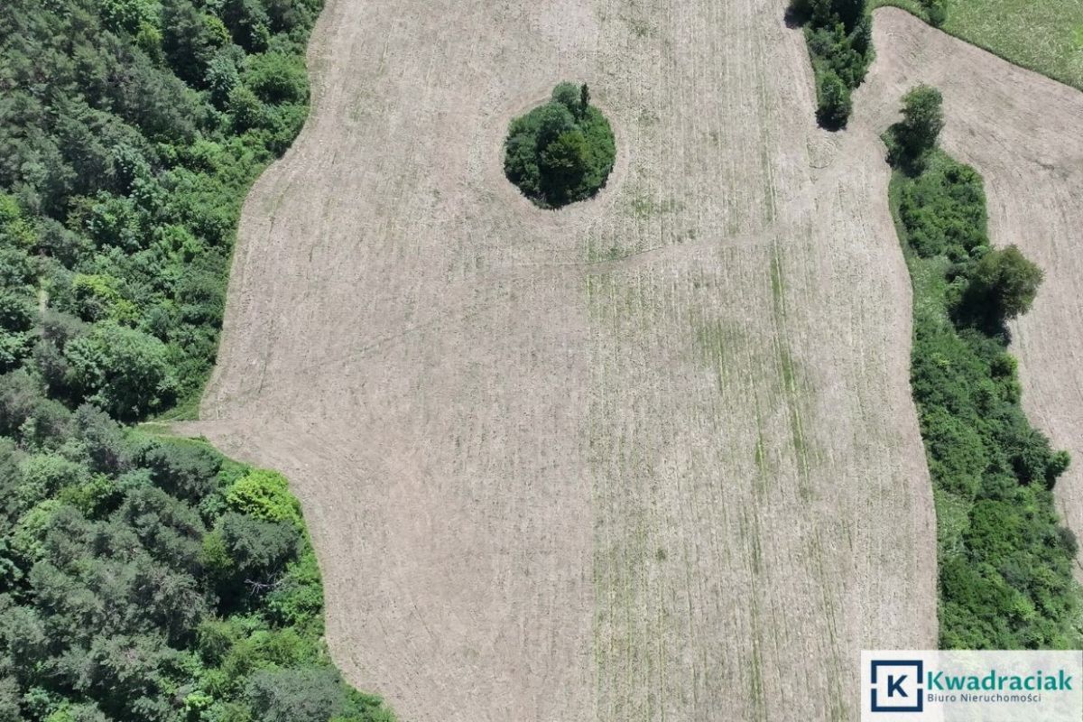 Działka rolna Stężnica. Zdjęcie 6