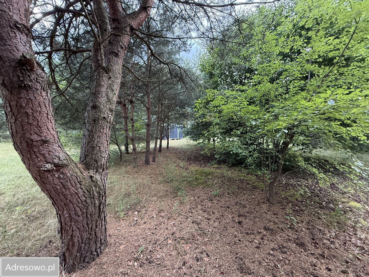 Działka rekreacyjna Nowe Miasto-Folwark. Zdjęcie 4