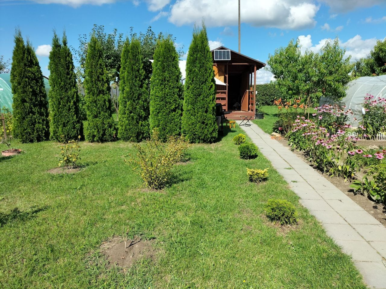 Działka rod Iłża, ul. Zuchowiec. Zdjęcie 6