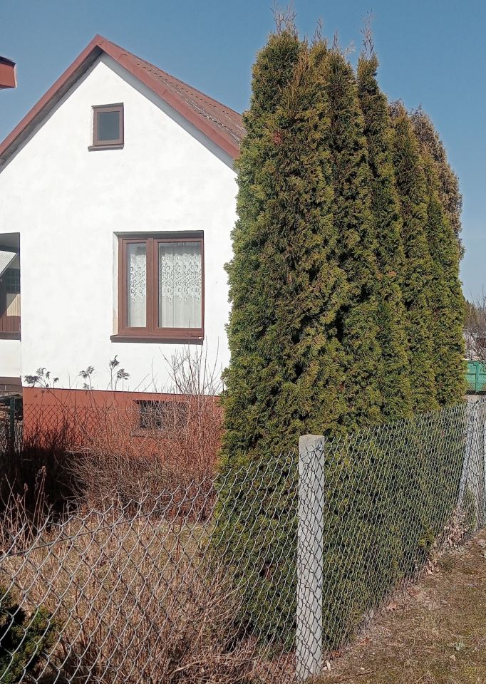 Działka rod Mszczonów, ul. Działkowa. Zdjęcie 2