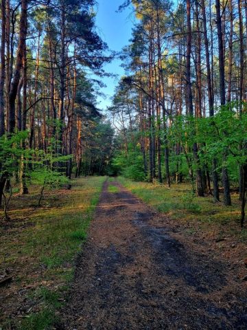 Mieszkanie 1-pokojowe Wola Aleksandra. Zdjęcie 8