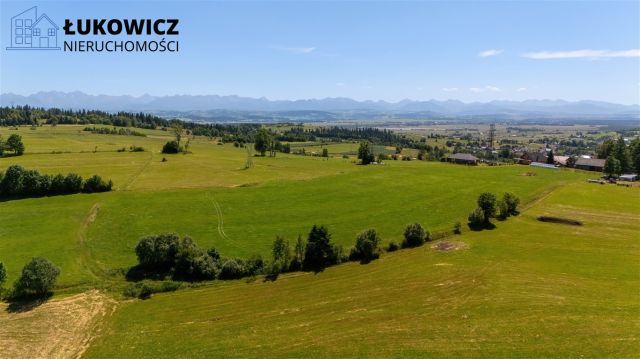 Działka leśna Pieniążkowice. Zdjęcie 12