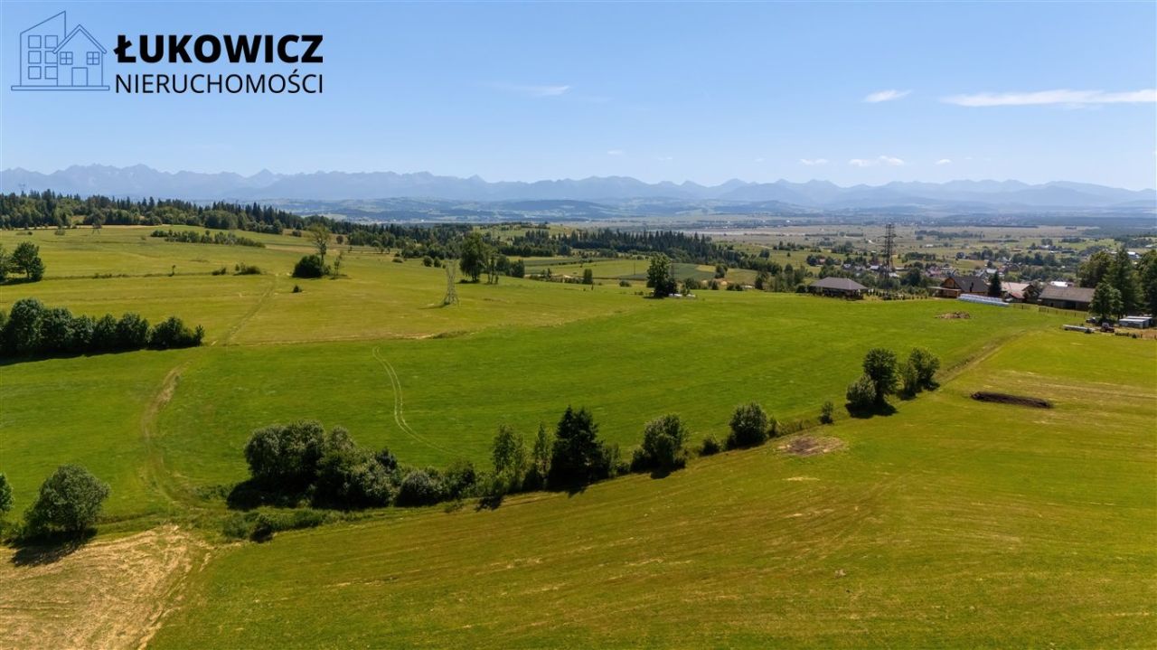 Działka leśna Pieniążkowice. Zdjęcie 12