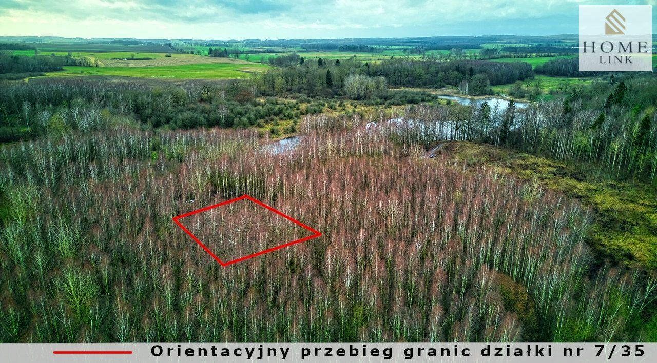 Działka rekreacyjna Stare Miasto. Zdjęcie 6