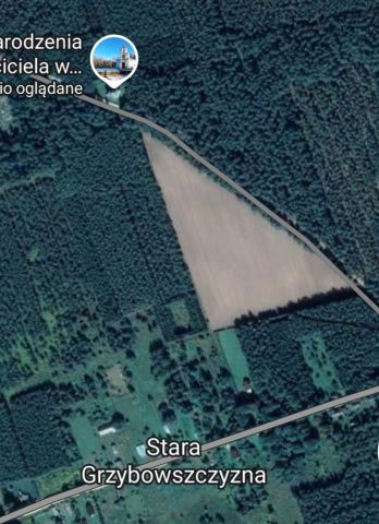 Działka siedliskowa Stara Grzybowszczyzna. Zdjęcie 1