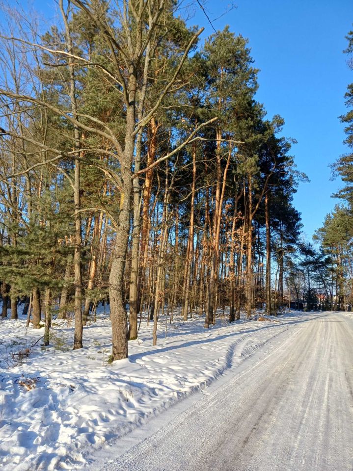Działka budowlana Dręszew. Zdjęcie 5