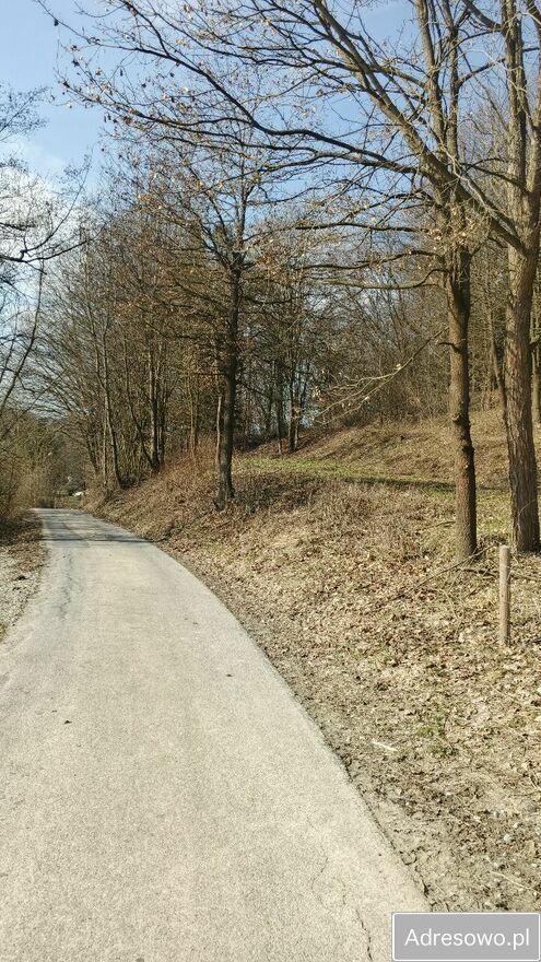 Działka rekreacyjna Turze Pole. Zdjęcie 6