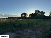 Działka budowlana Górsk, ul. Akacjowa. Zdjęcie 1