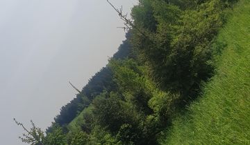 Działka leśna Rdzawka Rusnakówka