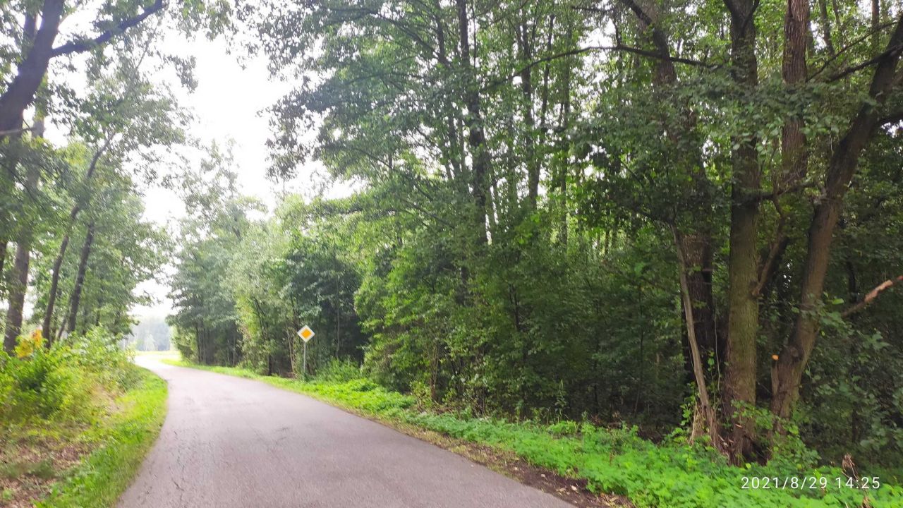 Działka budowlana Grabina. Zdjęcie 4