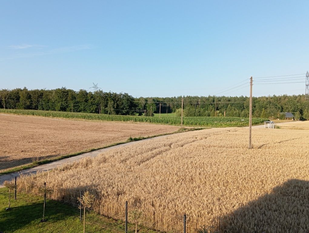 Działka siedliskowa Barłomino, ul. Sampowska. Zdjęcie 7