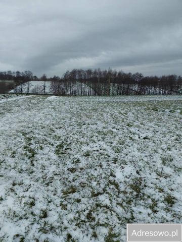 Działka rolna Nowy Skoszyn. Zdjęcie 1