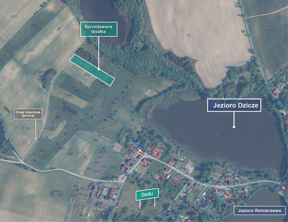 Działka budowlana Dziki. Zdjęcie 18