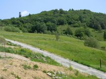 Działka budowlana Muszyna Wapienne, ul. Leśna