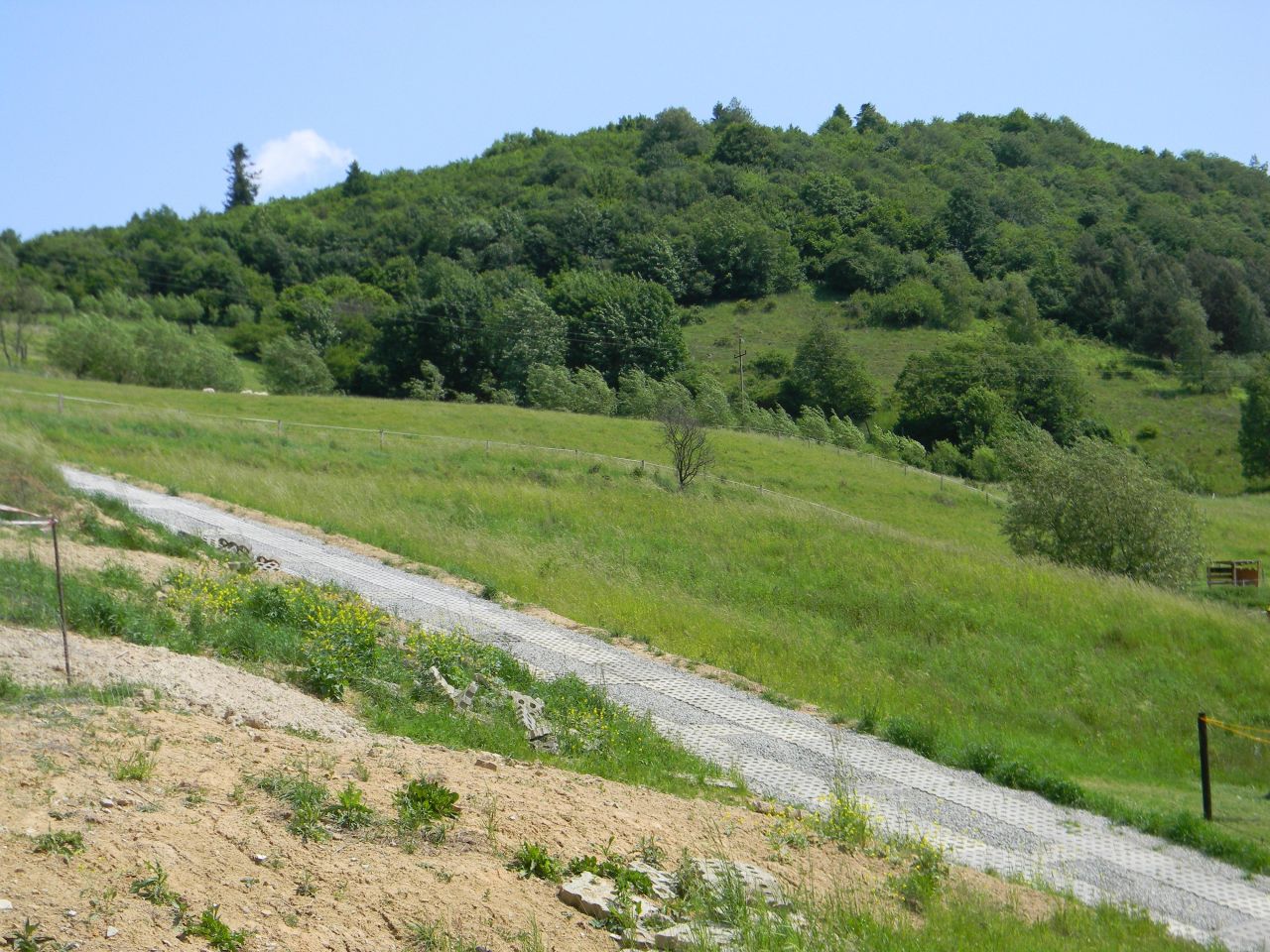 Działka budowlana Muszyna Wapienne, ul. Leśna