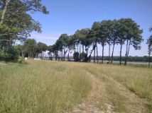 Działka rekreacyjna Wierzchowo. Zdjęcie 1