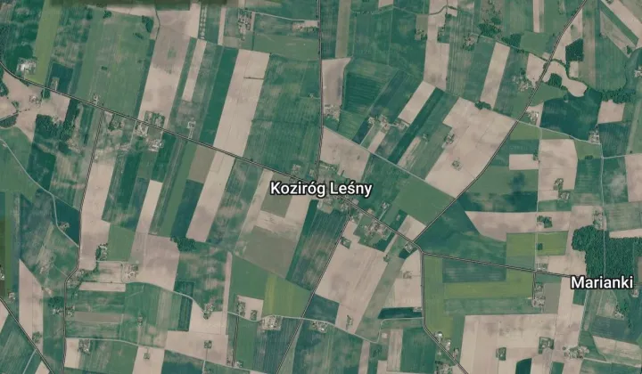 Działka budowlana Koziróg Leśny