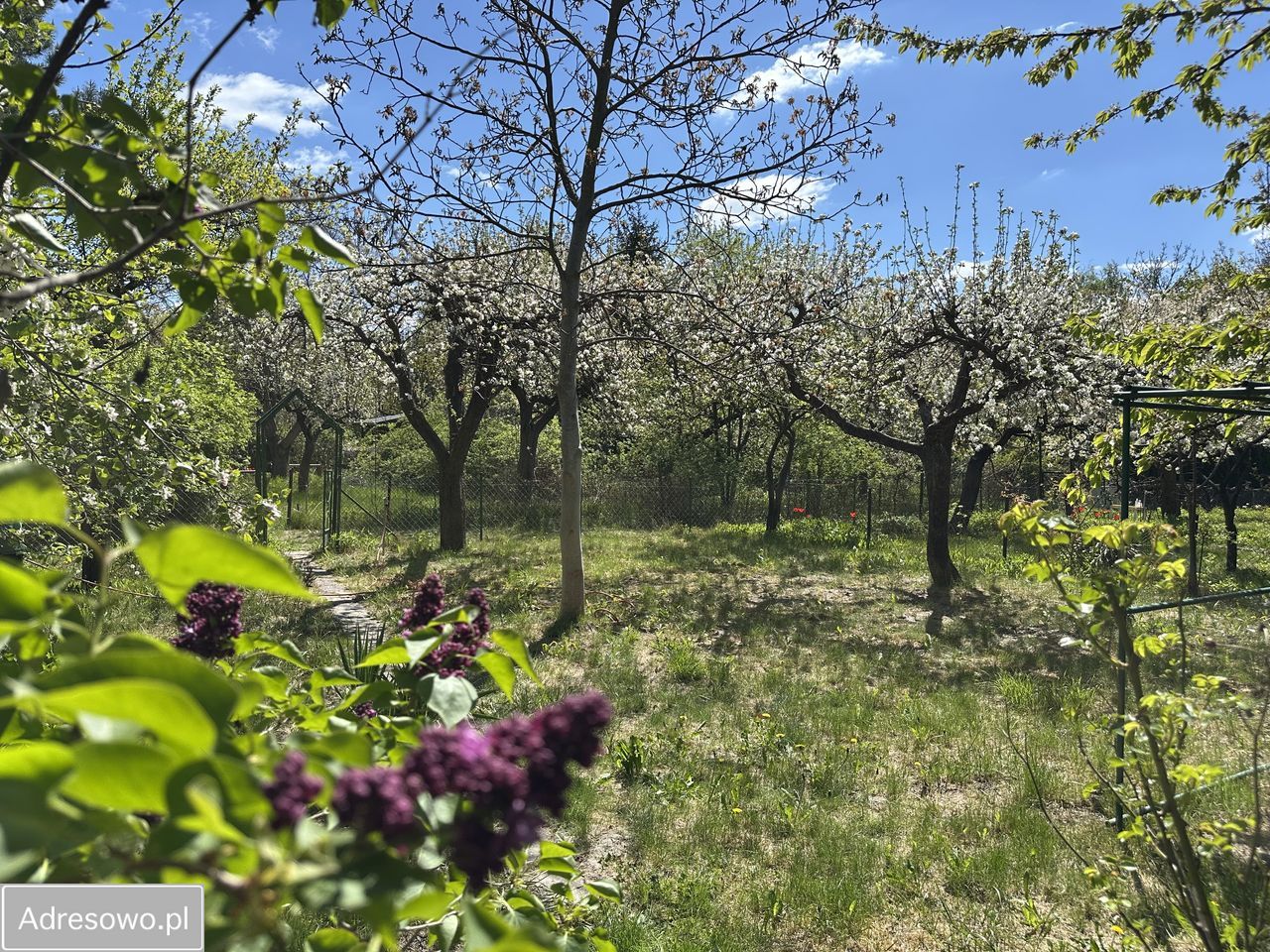 Działka rod Warszawa Mokotów, ul. Wyględowska. Zdjęcie 3
