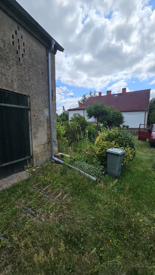 gospodarstwo Wystok. Zdjęcie 7