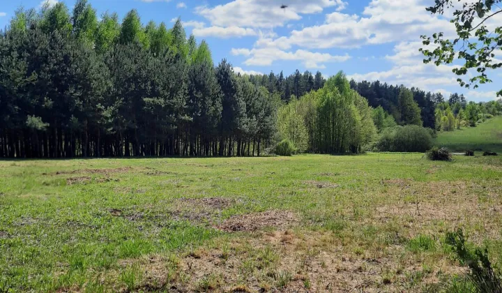 Działka budowlana Siedlce
