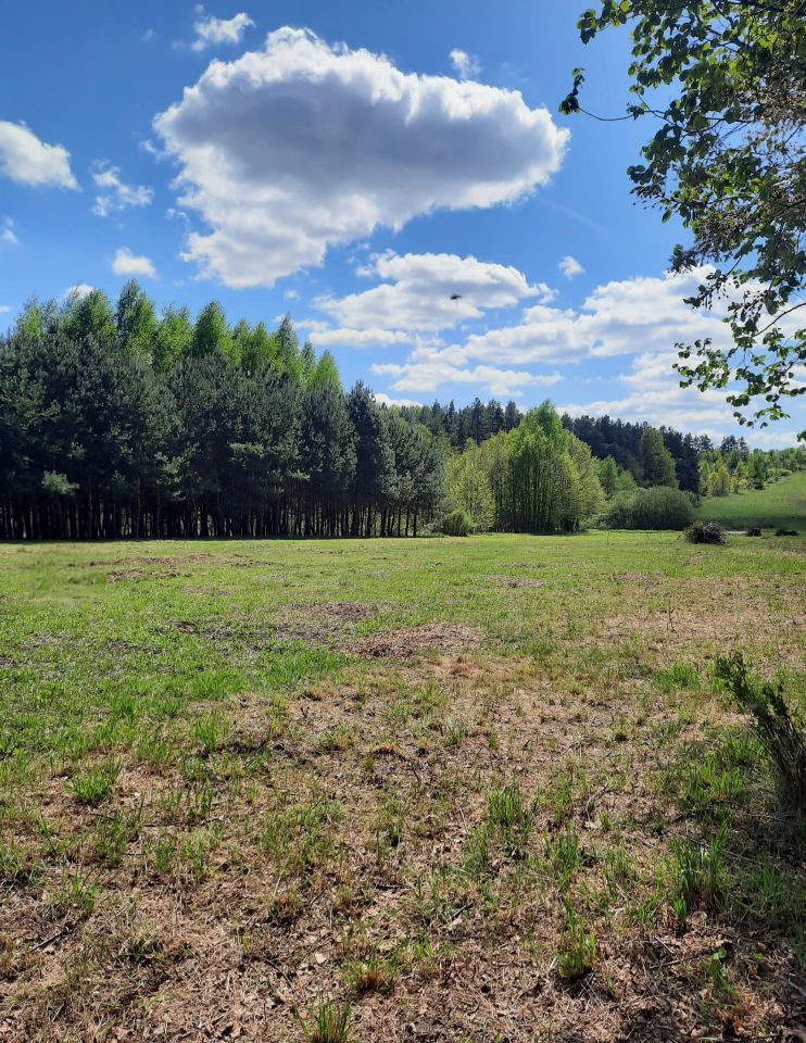 Działka budowlana Siedlce. Zdjęcie 1