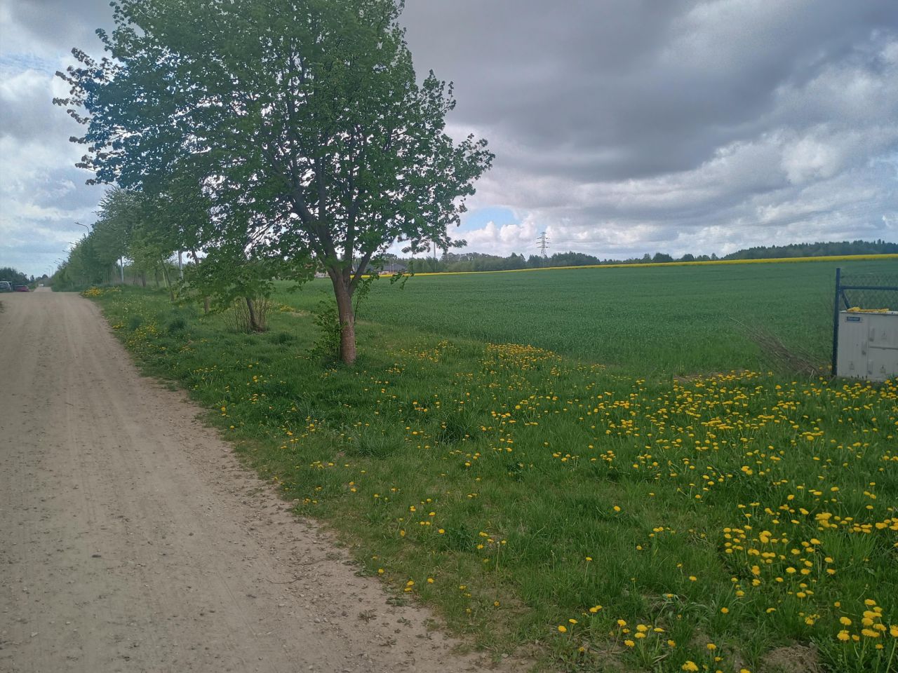 Działka budowlana Łosino, ul. Piękna