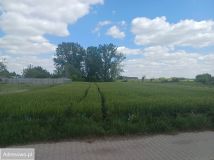 Działka budowlana Gaj Wielki, ul. Kościelna. Zdjęcie 1