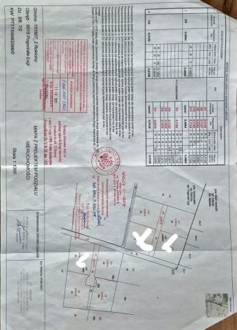 Działka siedliskowa Pogorzałe Ługi. Zdjęcie 9