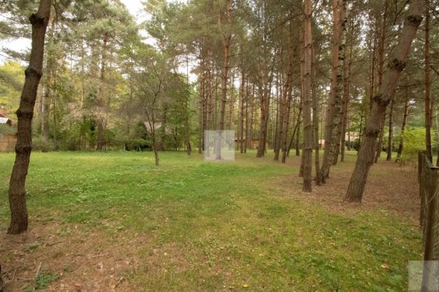 Działka rekreacyjna Radawa. Zdjęcie 9