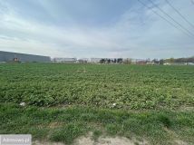 Działka inwestycyjna Robakowo. Zdjęcie 1